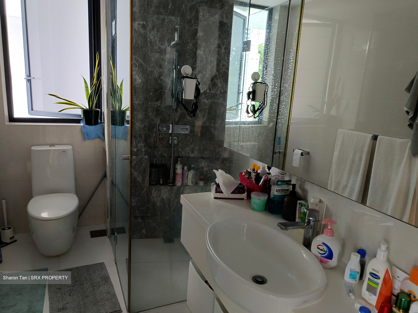 D'Leedon (D10), Condominium #437738071